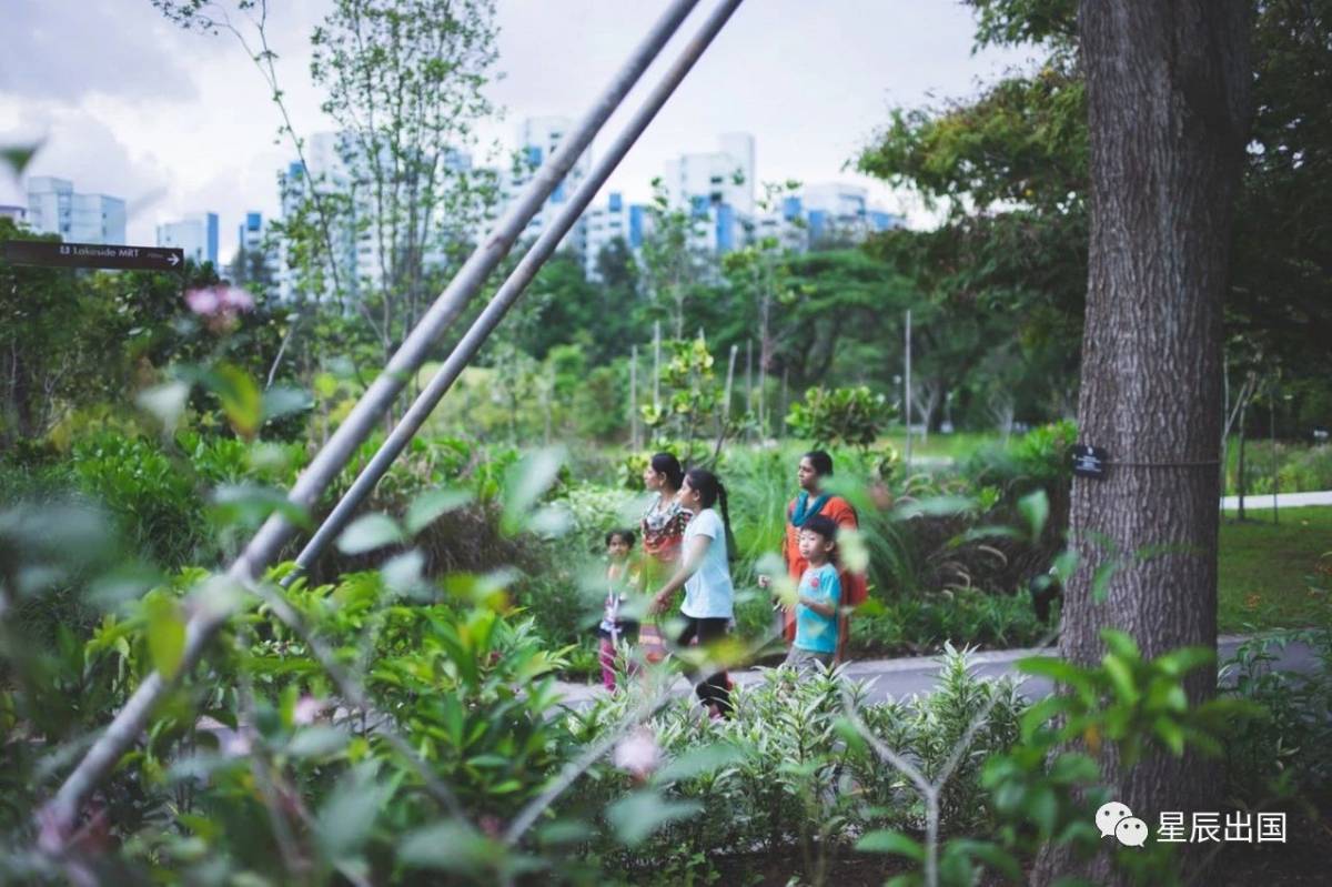 移民新加坡，新加坡教育优势