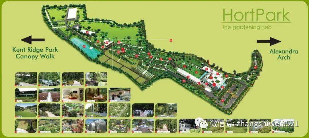 新加坡遊記系列 行走在南部山脊