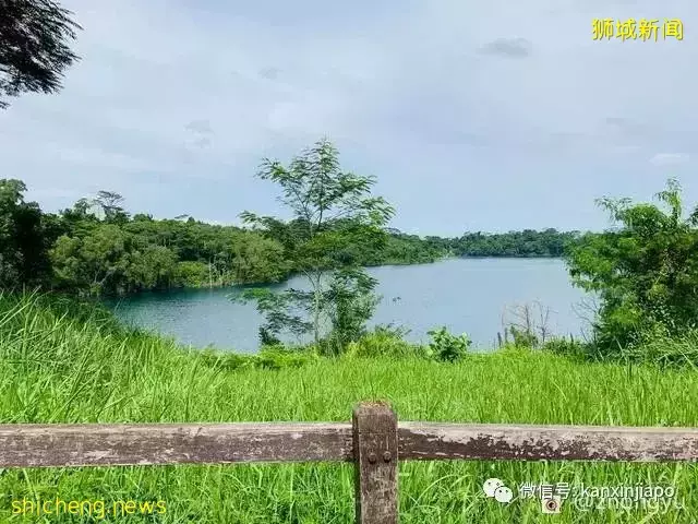 一日游好去处!新加坡的这个小岛你去过吗