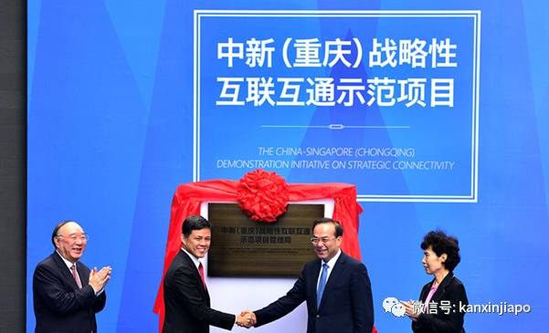 新中再通视频会议,深入交流环保生态、贸易投资等合作