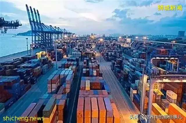 金龍魚、凱德集團竟然是新加坡公司?新加坡還有哪些産品在中國