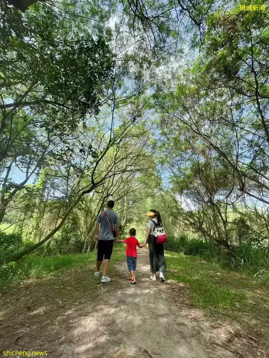 初到新加坡，怎樣快速融入本地，交到一起遛娃的朋友