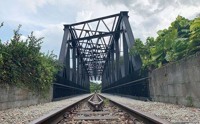 人少!景美!这条曾连接新加坡和马来西亚的“最美”铁路桥重新开放啦