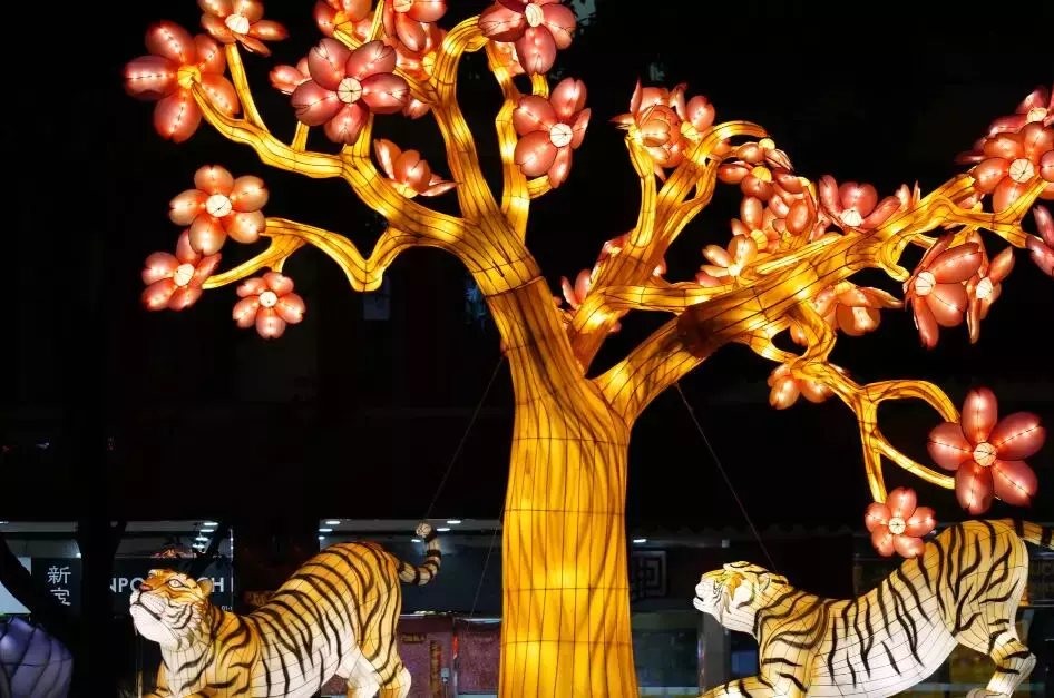 新加坡今年的“虎”點“彪”,居然“妩媚”地對我笑