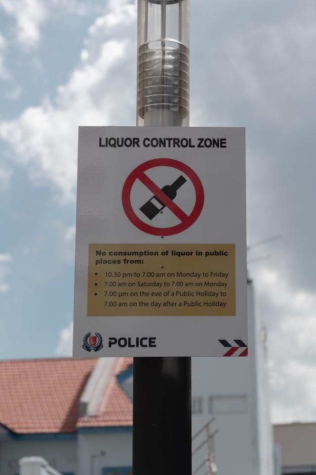 新加坡10天深度自由行，感受世界最嚴法律下的四大種族交融之地3