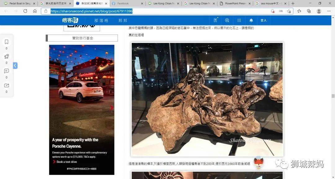 恐龍化石、抹香鯨骨架、初代巨星阿明……100W+動植物標本竟然藏在新加坡這個地方