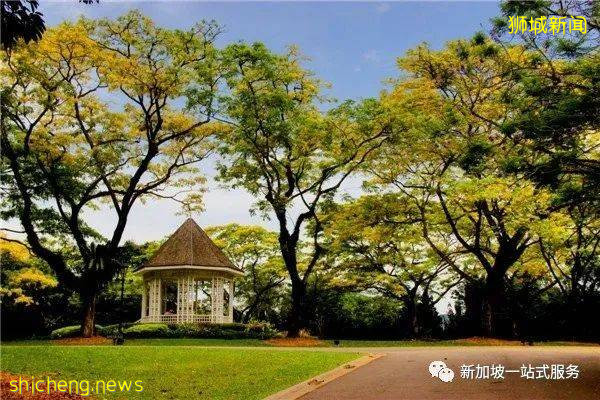 最美麗的自然風光: 新加坡植物園!