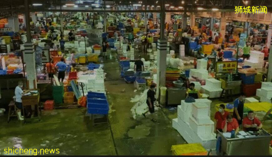 新加坡卖鱼网红PK比国内网红！网友：太保守！包的像粽子怎么能红