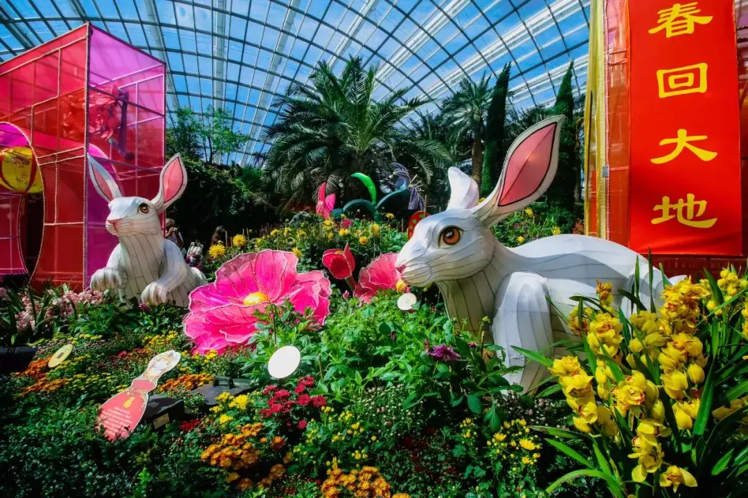 新加坡濱海灣花園新春花展“大麗花之夢”攜手“春到河畔”，熱鬧溫馨年味濃