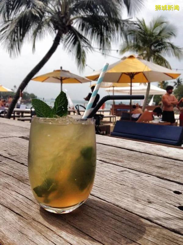 獅城一點“綠”,來打卡那些小衆的戶外cafe吧