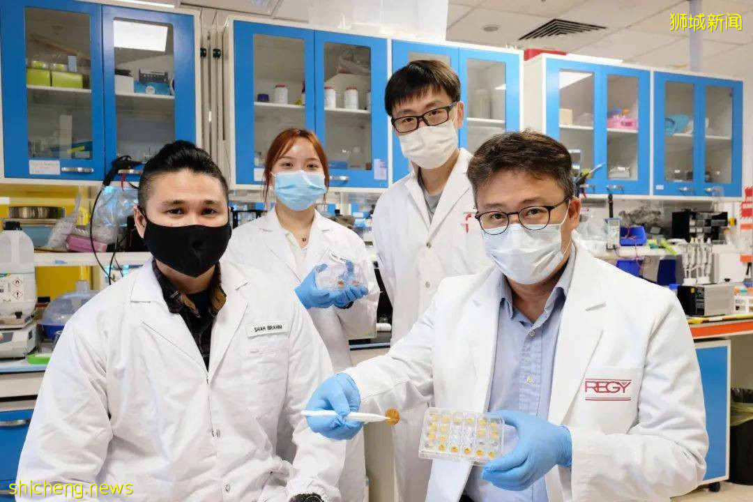 NTU科研團隊發明環保海綿，可吸附海洋石油汙染