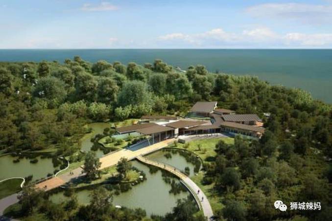 500种热带动植物免费看!超大蜥蜴、候鸟、鳄鱼,新加坡这地儿你肯定没来过