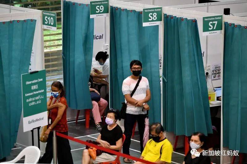 新加坡手上有好牌，逐步和低风险地区开展“泡泡”其实没那么可怕