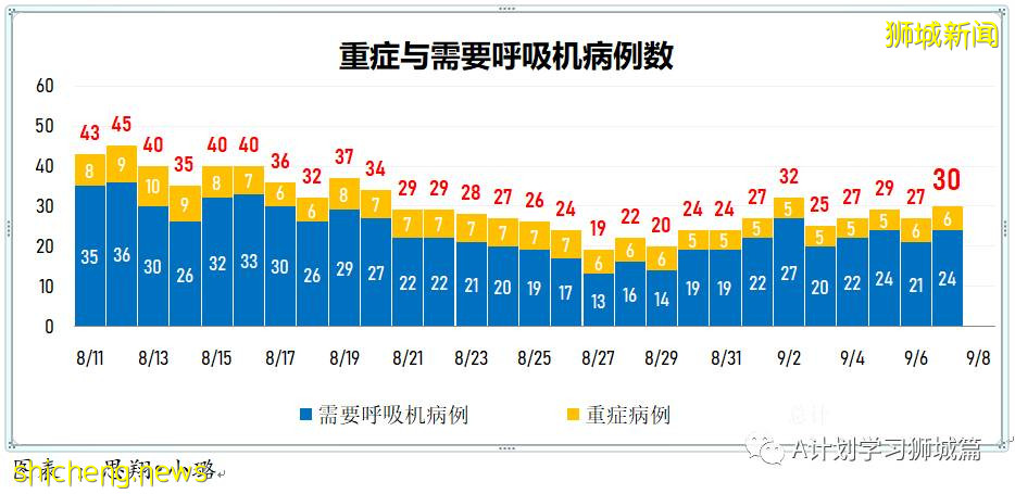 9月8日，新加坡疫情：新增349起，其中本土347起，輸入2起；新增一學校感染群8名小四生確診