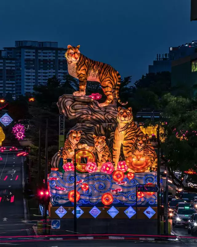 虎年新春去哪裏玩？盤點2022新年限定活動✨花展燈飾逛不停，虎到福也到