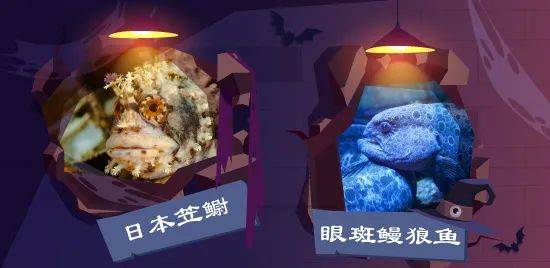 在新加坡体验海底万圣节,准备进入海洋深处,迎接一连串的惊悚生物了吗