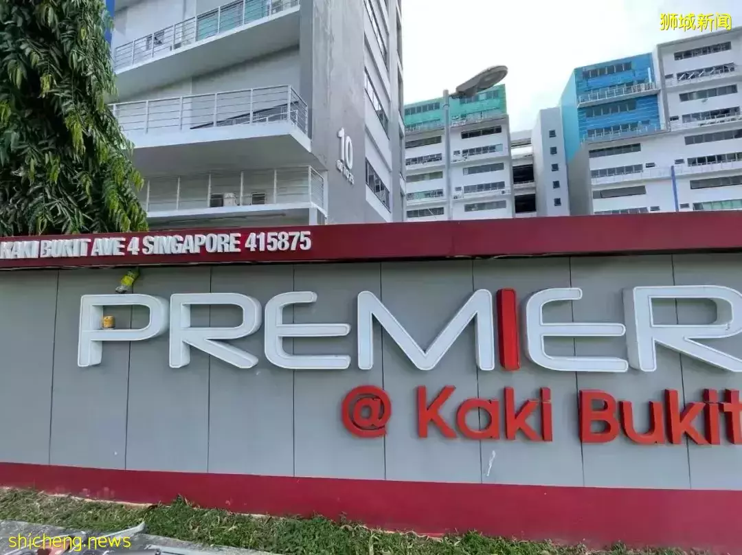 鮮花在熱帶也能養1個月？資深花友新加坡買花、養護大揭秘