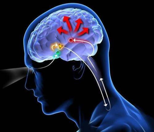 全球最缺乏睡眠，新加坡排名第三