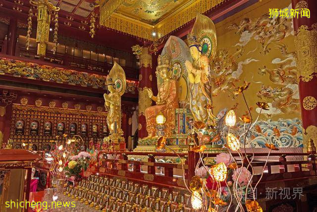 关于新加坡的冷知识,你知道多少