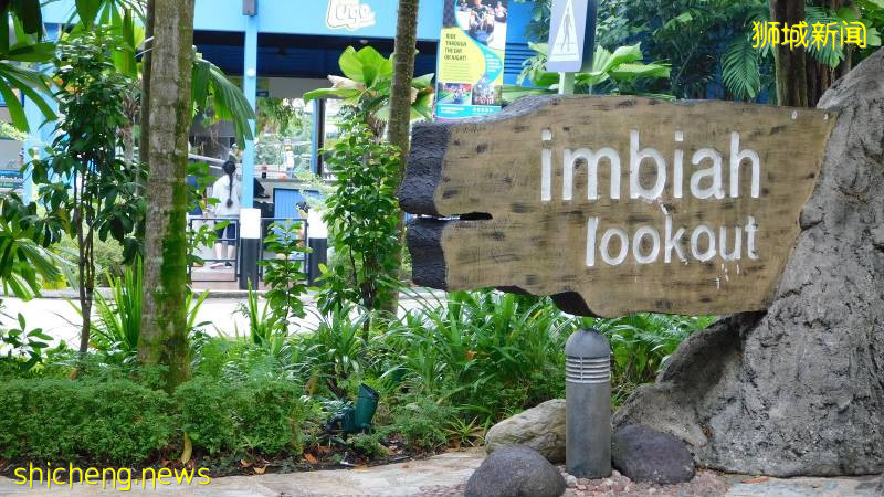 本地旅行家才知道的玩法，圣淘沙鲜为人知的另一面！免费高空玻璃栈道、原生态森林小径等你来打卡