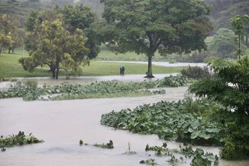 2021年第一周新加坡全島下傾盆大雨，這究竟是好還是壞