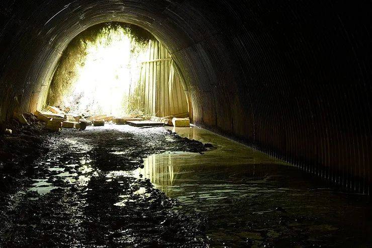 廢棄鐵路、徒步探險、網紅打卡地! 新加坡又一隱秘的角落