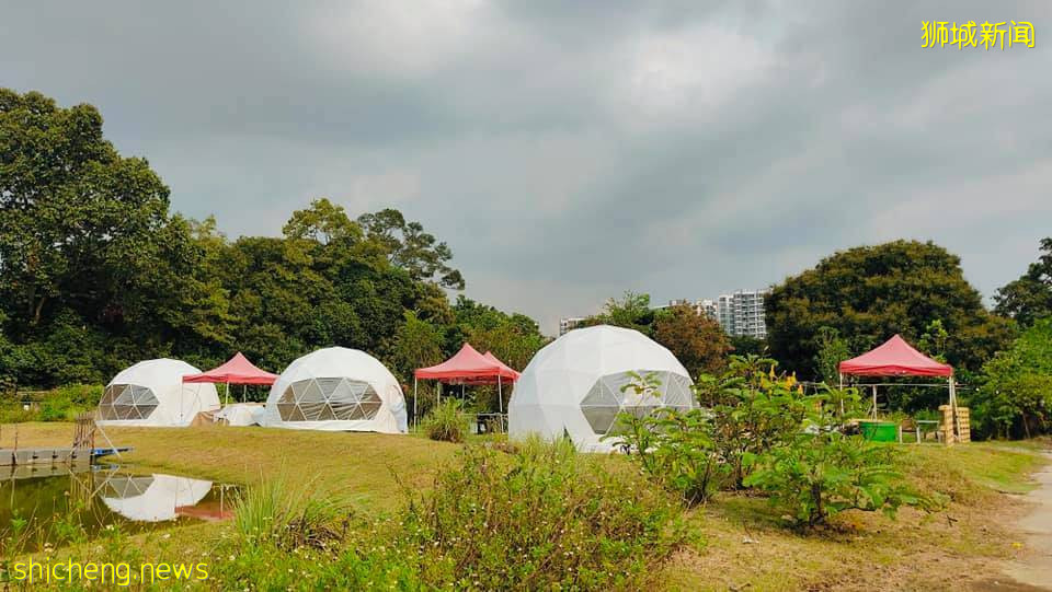 轻松露营新选择,科幻感超美圆顶帐篷@Yishun,拎包入住不是梦