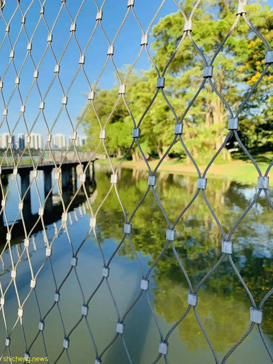 美到不行的裕廊湖畔花园,你不来打卡一下吗