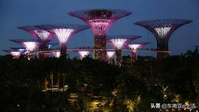 为什么全球富豪都选择新加坡作为理财中心，花园城市有何种吸引力