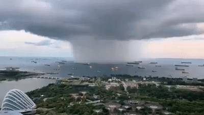 又“狂”又“野”的新加坡奇景！天氣多變，生態豐富!
