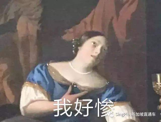 《新加坡高校留学生图鉴》