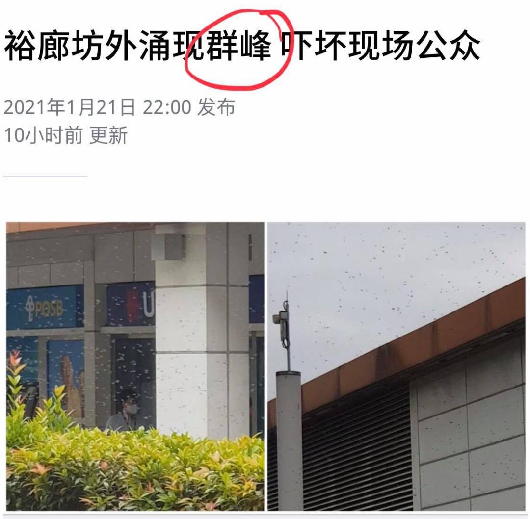 牛车水“又出事”?我对着屏幕笑了一天!哈哈哈哈哈哈哈哈哈哈