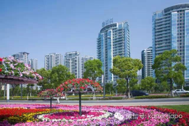 新中两国首个大型合作项目上市,市值超200亿!