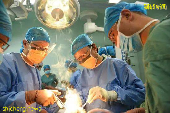 醫在獅城,治愈秘籍在這裏