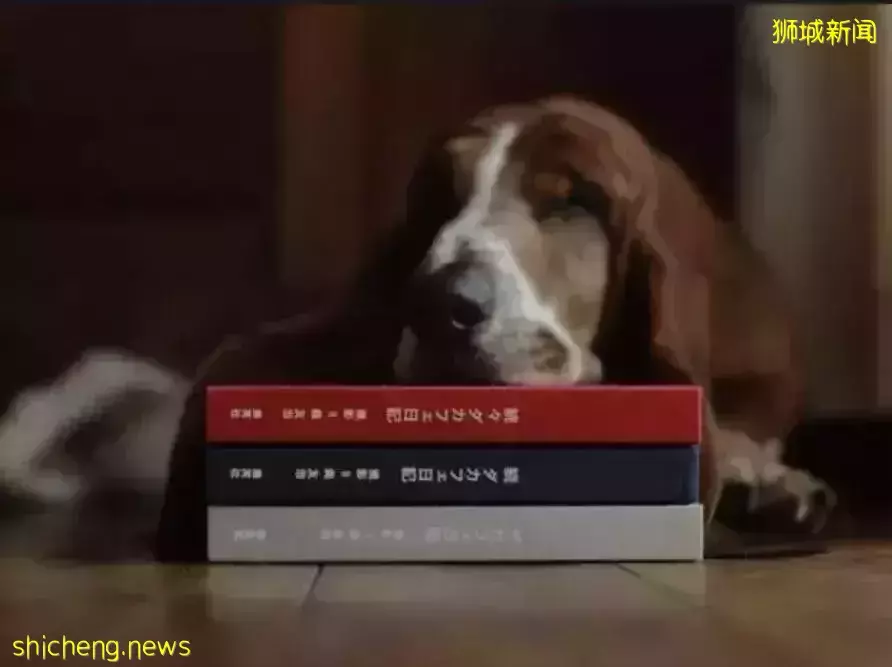 外籍情侣在新加坡租房一天惨遭驱赶?房东骚操作引网友热议