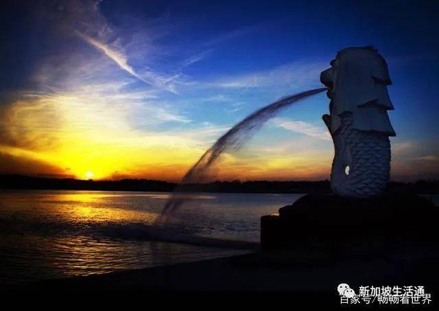 曾經“不起眼”的新加坡，如今爲何成爲“高大上”的代名詞