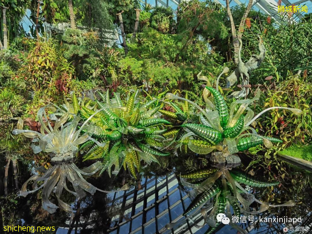 穿越魔幻国度！巨型玻璃艺术品出现在滨海湾