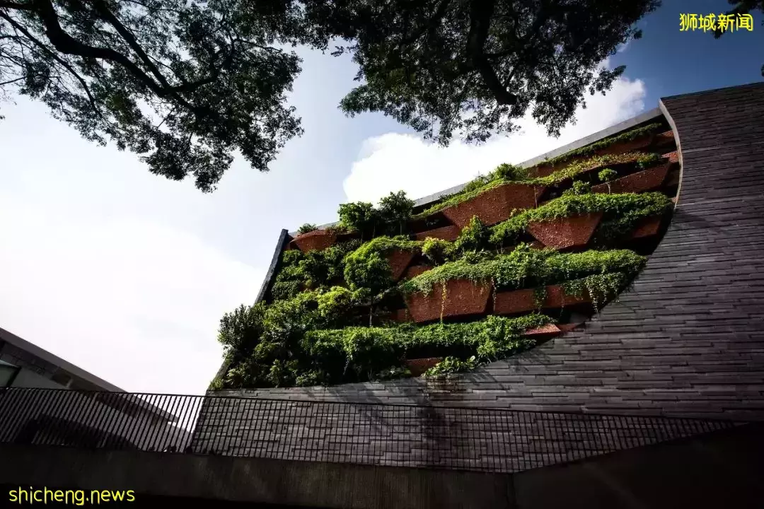 新加坡李光前自然曆史博物館 / Tierra Design (S) Pte Ltd