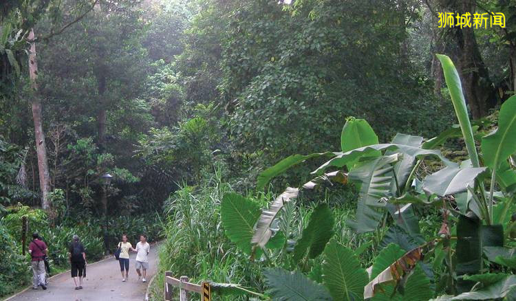 新加坡的15條風景超好的騎行路線大盤點,讓我們騎著腳踏車,重新認識新加坡