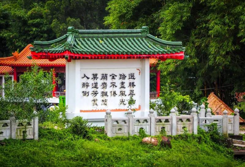 NTU 周邊的絕美拍照聖地,你不想去打卡嘛