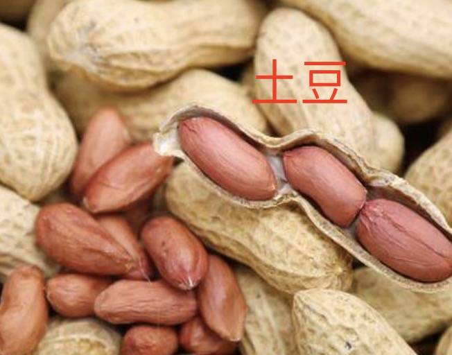 驚呆！印度小哥在新加坡街頭狂飙中文、福建話！網友跪了：比我說得好多了