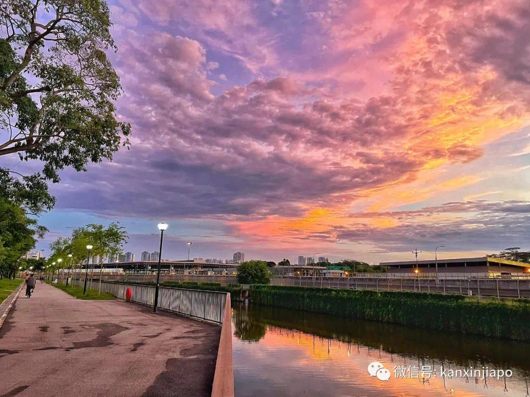 新加坡清晨出現粉紫色“神仙”天空!大波美圖驚豔全島