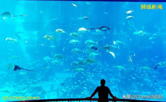 新加坡旅遊3天就夠?看完這篇最全攻略,你還這樣認爲嗎!