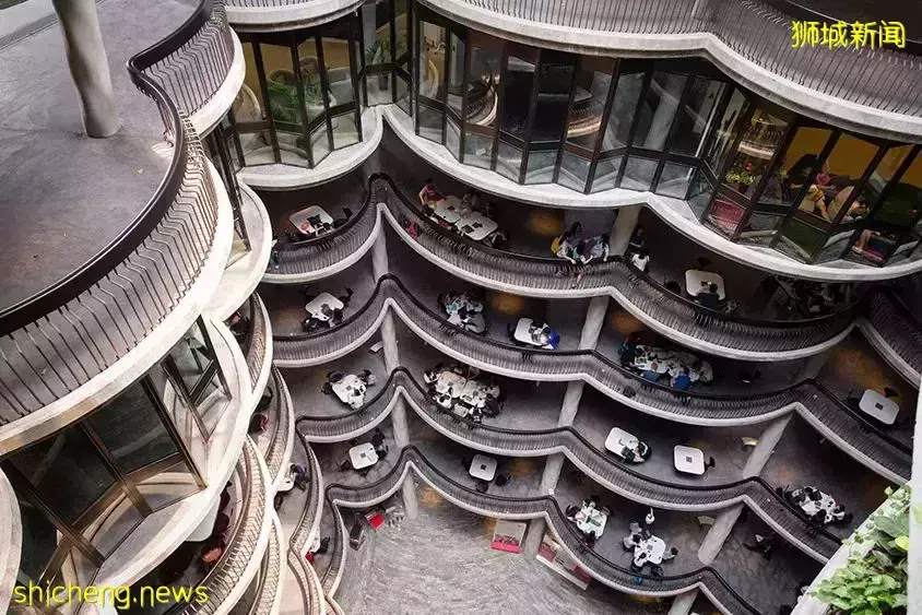 擇校必看!新加坡大學有哪些好的推薦