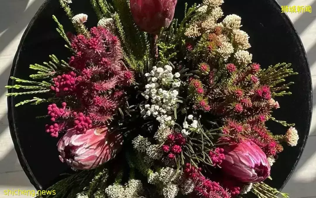 鮮花在熱帶也能養1個月？資深花友新加坡買花、養護大揭秘