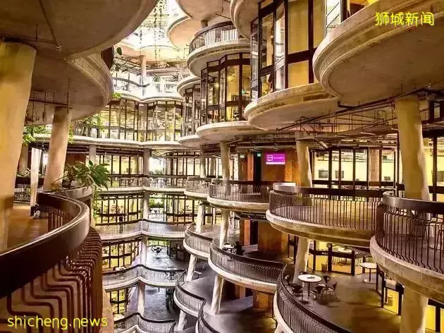 無雅思要求？！新加坡公立大學中文授課本科研究生專業來啦