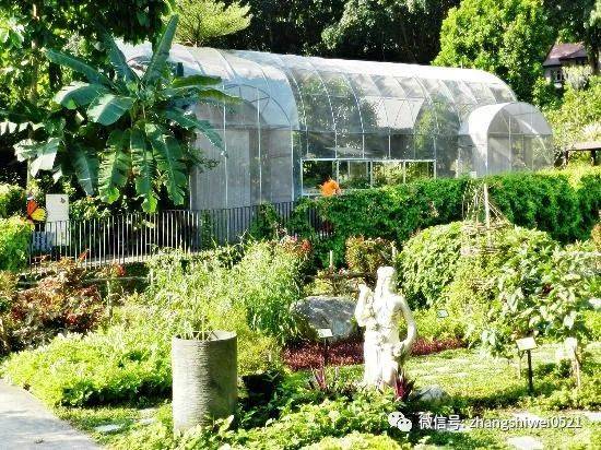 新加坡遊記系列 行走在南部山脊