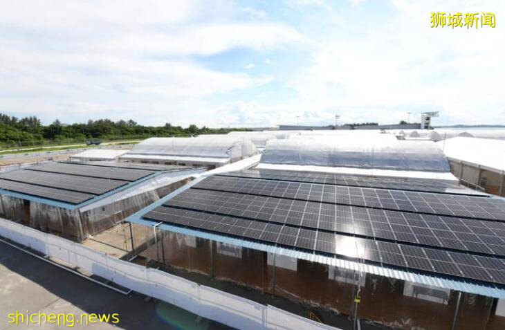 走进新加坡看疫情下全球最佳机场,NO!是樟宜“方舱”!