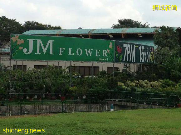 除了超市，原來新加坡還能在這些地方買到鮮花