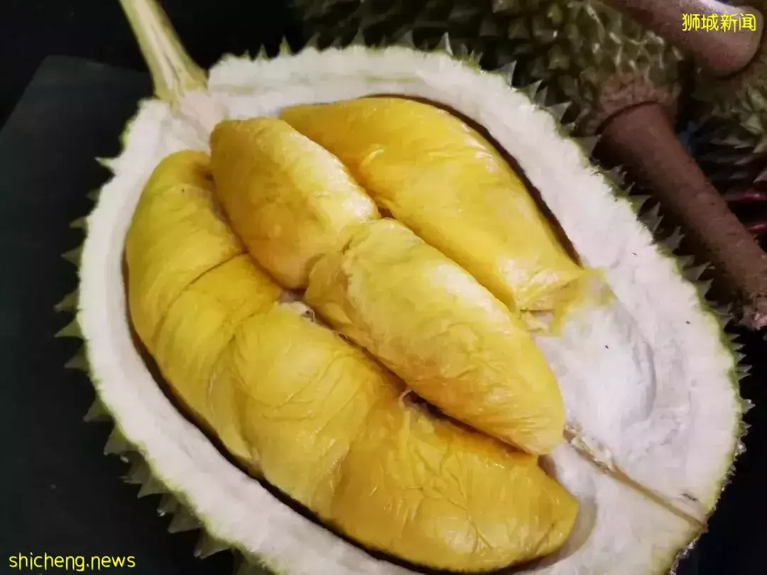 新加坡榴梿季來了啊啊啊！本地人吃榴梿秘籍，這7家最便宜